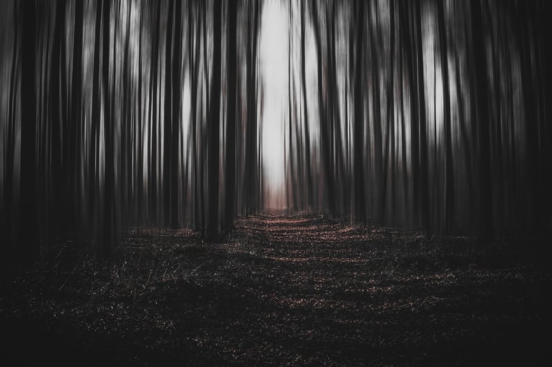 Surreal Landscape